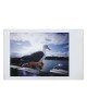 Моментален фотоапарат Lomo Instant Black edition Моментален фотоапарат Lomo Instant Black edition