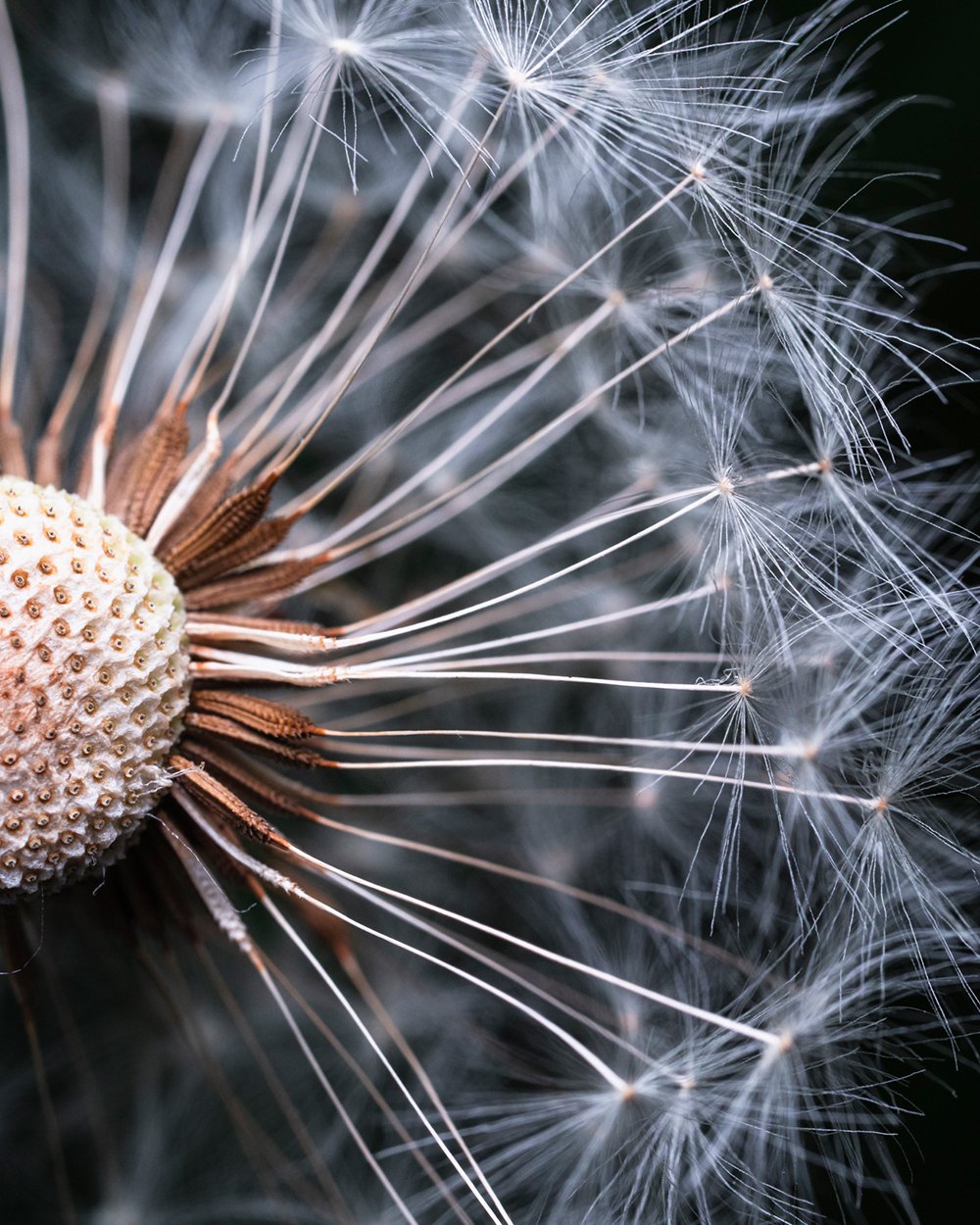 Обектив Tamron 90mm F/2.8 Di III MACRO VXD Sony E